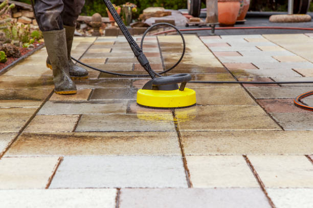 Best Pre-Holiday Cleaning  in Reedsburg, WI